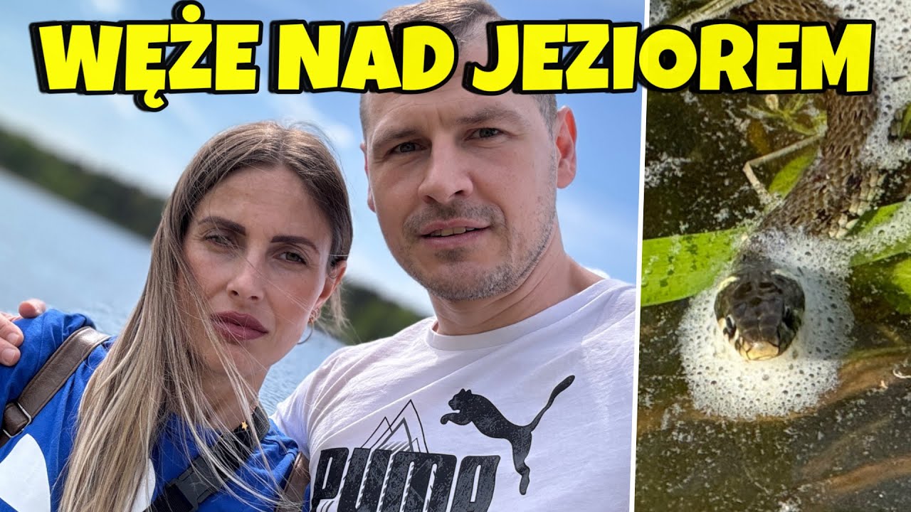JEZIORO MOKRE ŁĄKI - OSACZENI PRZEZ WĘŻE - ŻMIJA, ZASKRONIEC CZY PADALEC?