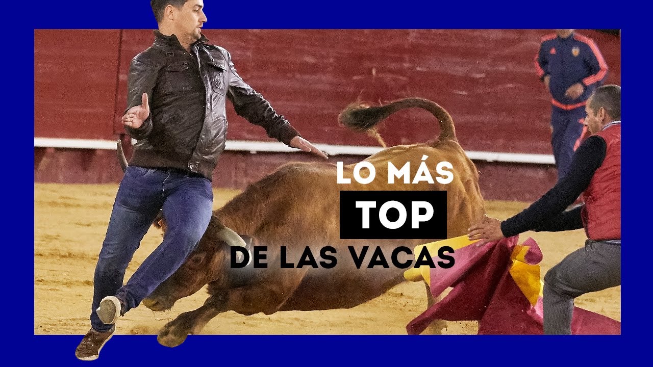 MOMENTOS DIVERTIDOS CON VACAS BRAVAS DEL A&Ntilde;O 2024 😂😅