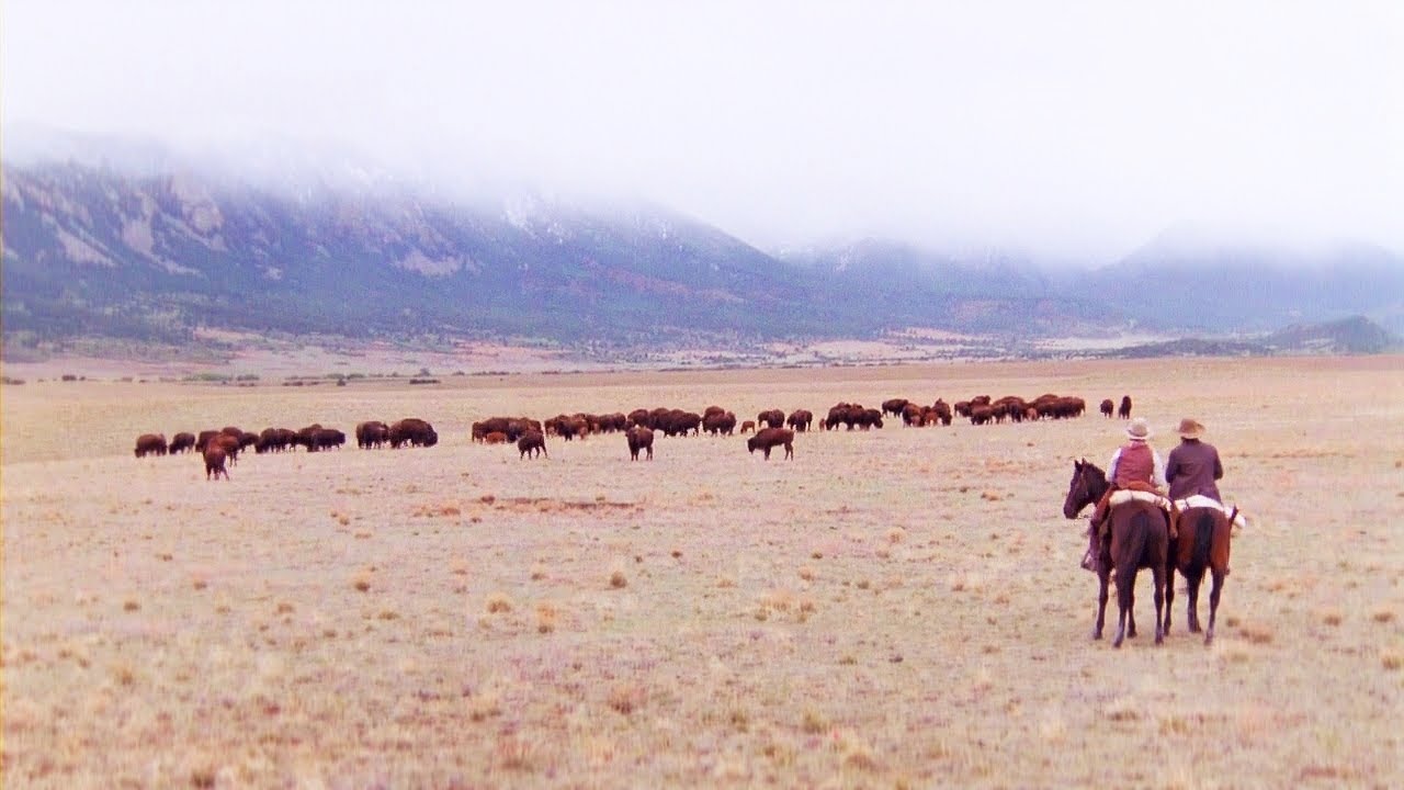 Lonesome Dove (머나먼 대서부)