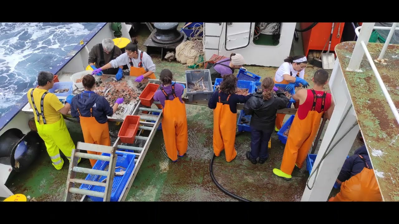 Vídeo das campanhas ceanográficas de investigação - PELAGO, CRUSTACEOS e DEMERSAL