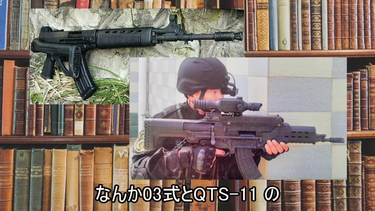 【ゆっくり銃解説】03式自動歩槍&QTS-11【銃百科2】中国軍