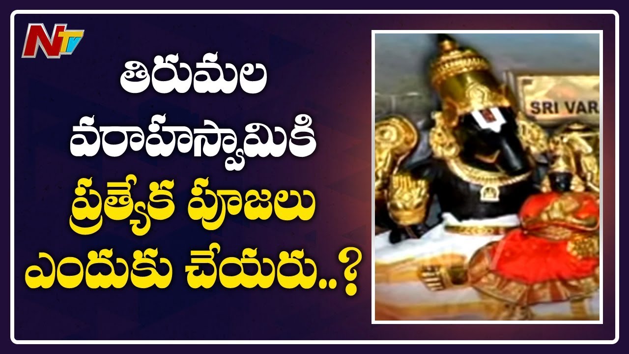 Special Focus on Historical Varahaswamy Temple in Tirumala | NTV