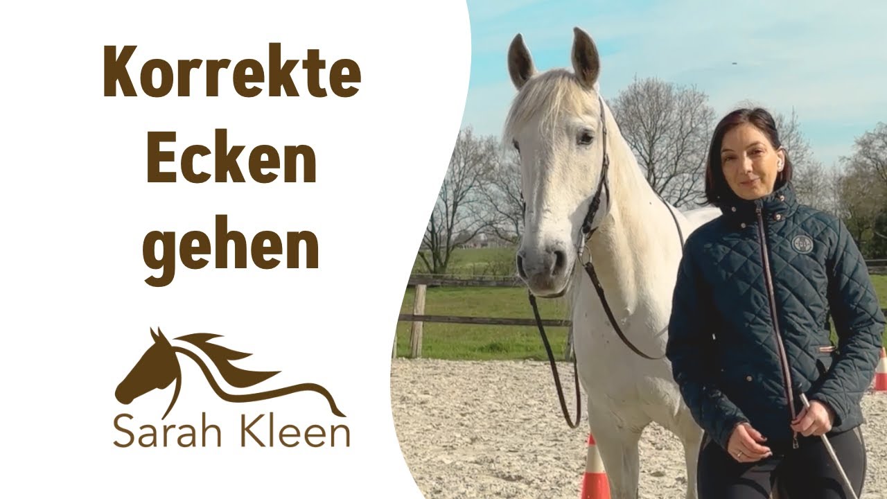 So erarbeitest du die korrekte Biegung und förderst die Tragkraft #2⎜Bodenarbeit