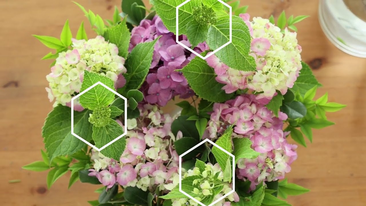 簡単！あじさいリーステクニック | フラワーアレンジメント| 庭のあじさいを楽しむ　#35