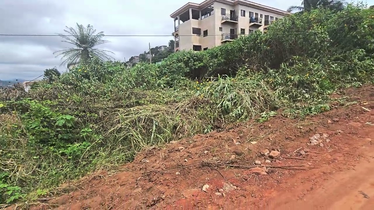 OPPORTUNITÉ CITÉ-VERTE YAOUNDE:TERRAIN DE 1081M2 À VENDRE MUTATION TOTALE,PRIX:45.000FCFA/M2