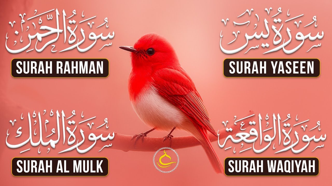 Beautiful Surah Yaseen (Yasin) | Surah Rahman | Surah Waqiah | Surah Mulk | 27