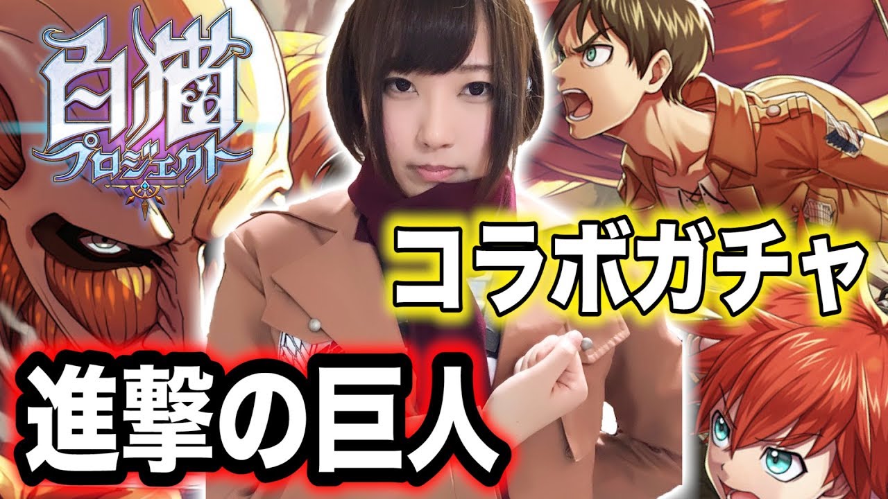 【白猫】進撃の巨人コラボガチャ！コンプするまでミカサ・エレン・リヴァイ兵長を狙う【キャラガチャ】-実況プレイ