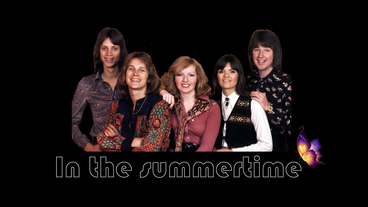 IN THE SUMMERTIME - THE NEW SEEKERS