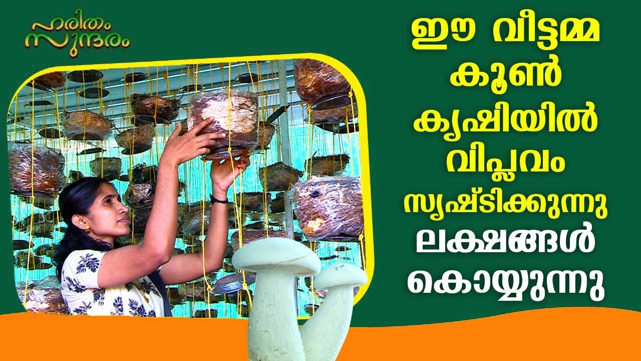Lakhs of profit through revolutionary mushroom cultivation by a housewife | Haritham Sundharam EP313