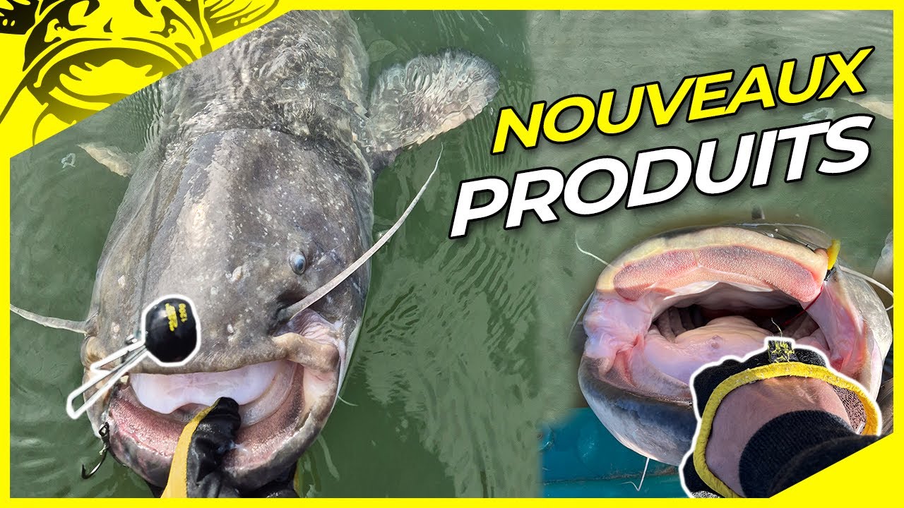 RÉVOLUTION dans la pêche au SILURE😳 | Nouveaux produits & système vertical | Pêche au silure