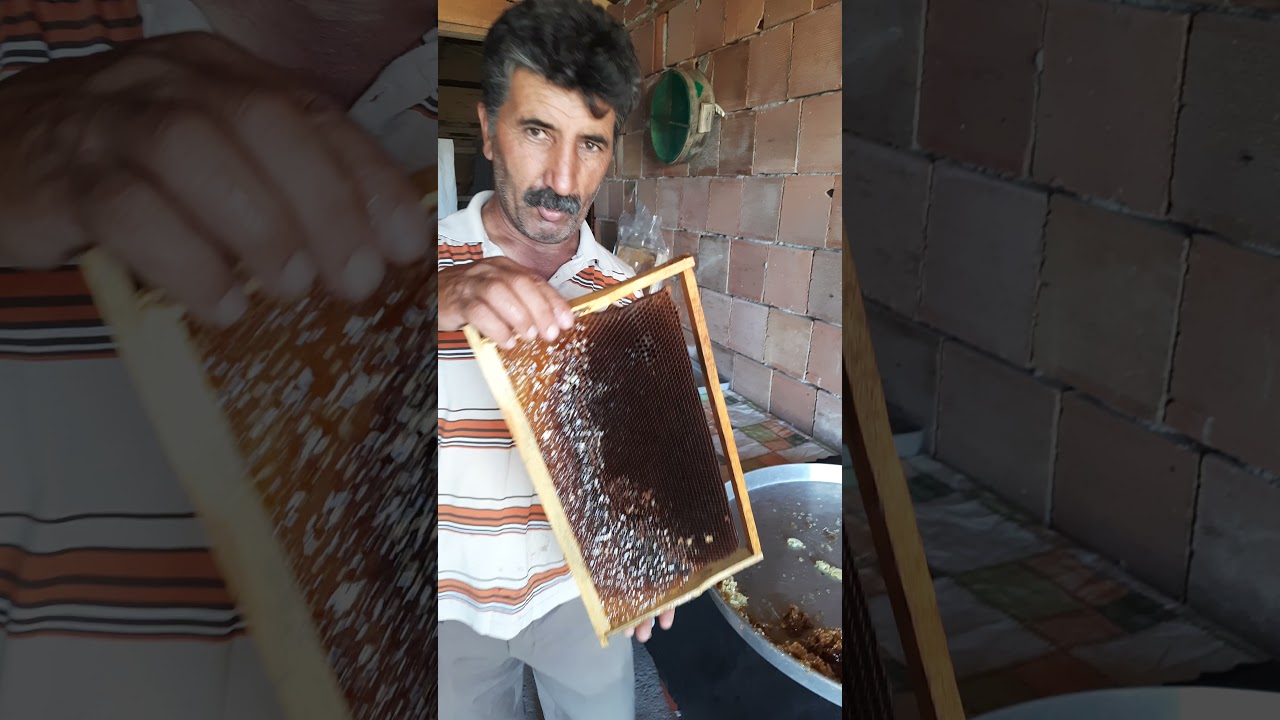 BAL NASIL SÜZÜLÜR SÜZME YAPILIRKEN NELERE DİKKAT EDİLMELİDİR- arıcılık- beekeeping- bal arısı- süzme