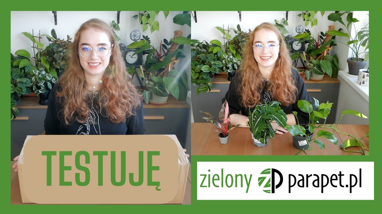 Ekscytujące zamówienie z Zielonego Parapetu!