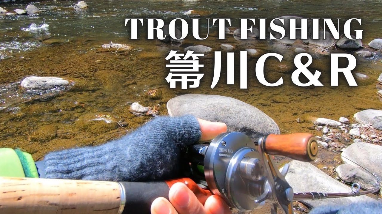 【Trout Fishing】フィッシュマンロッドで行く栃木トラウト遠征、箒川C&R区間で大バラシ劇場【渓流ベイトフィネス】