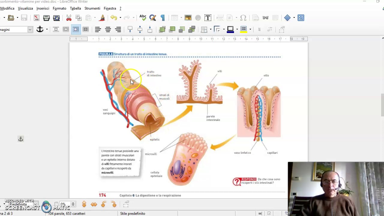 Biologia: assorbimento dei nutrienti e vitamine