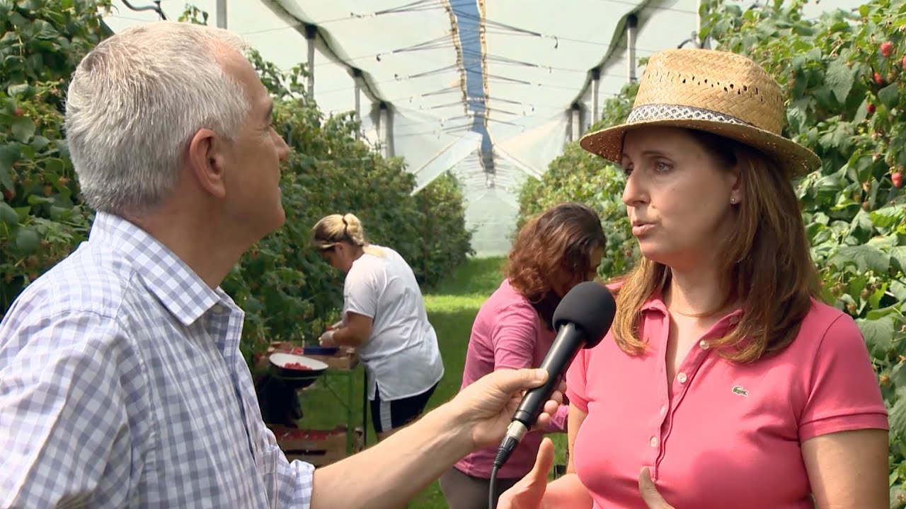 VAL DI SOLE, CROVIANA: CANTI E MUSICA PER FRUTTI DI ALTA QUALITÀ