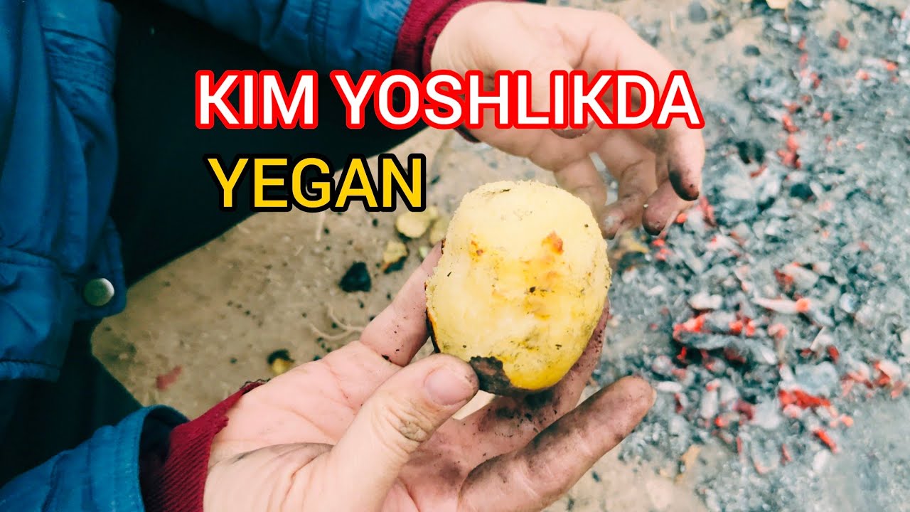 KIM YOSHLIGI DA YEGAN.😋