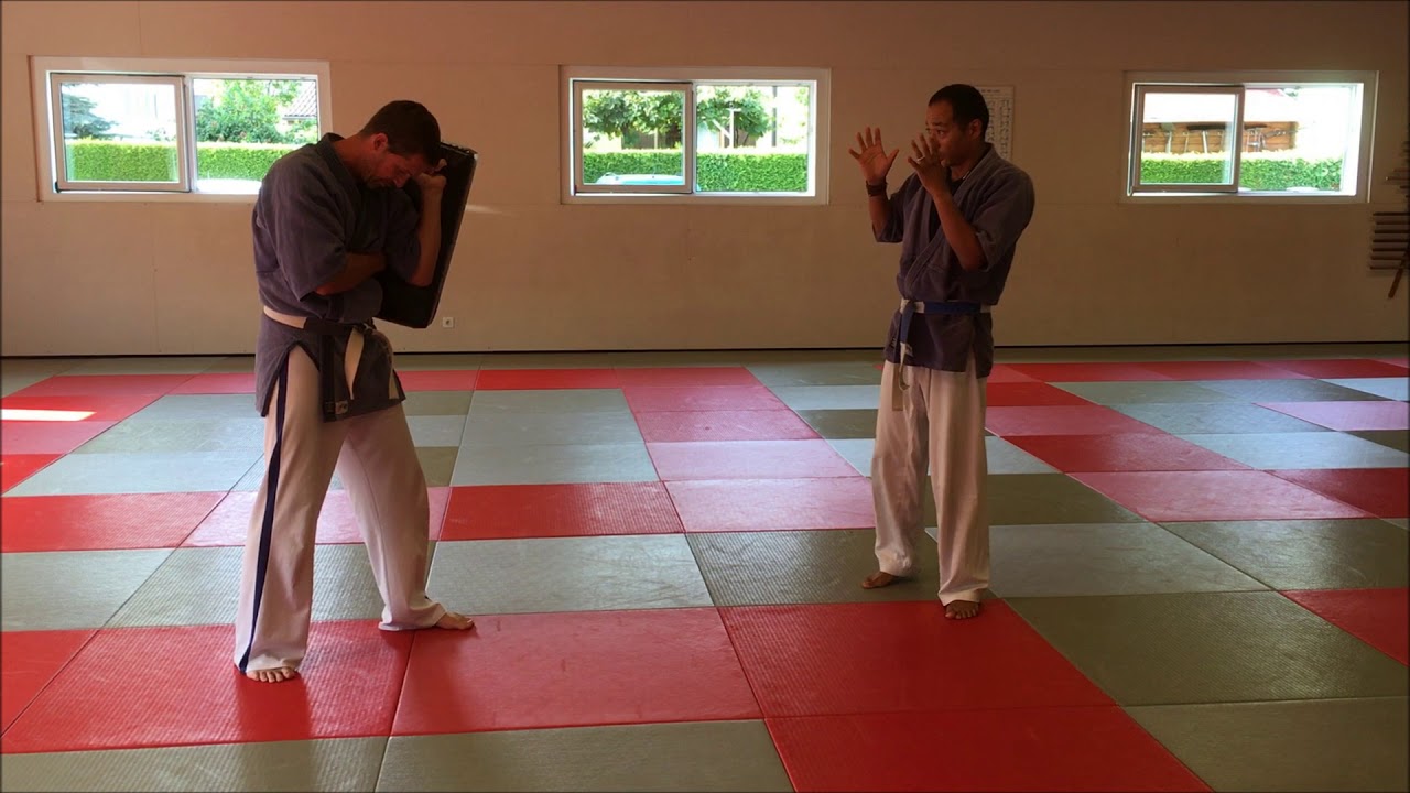 Yoseikan Budo Suisse - La technique du mois - Octobre 2017