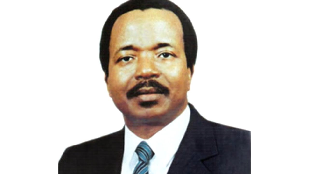 FAUT- IL MODIFIER LA CONSTITUTION DU CAMEROUN ? LE TEXTE ADOPTÉ EN JANVIER 1996 a 30 ANS CETTE ANNÉE