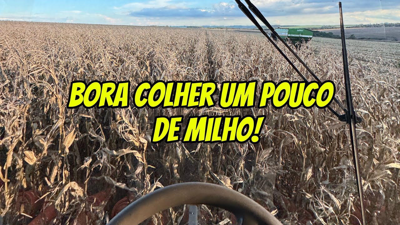 Bora colher milho com a S760 + bravissíma! 🔥🚀💪👍🤝🤠🇧🇷 #agro #video #johndeere #stara #milho #colheita 