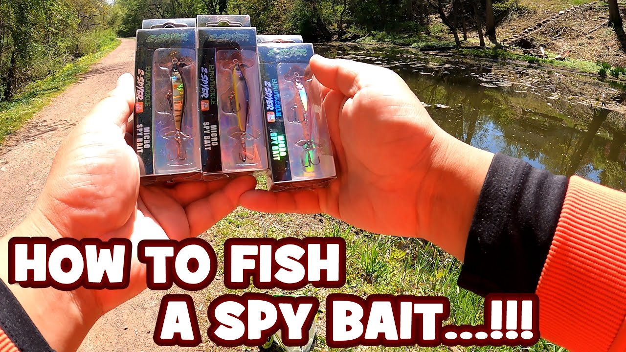 Using the EUROTACKLE Z-SPYER for the FIRST TIME EVER...!!! [LURE REVIEW]