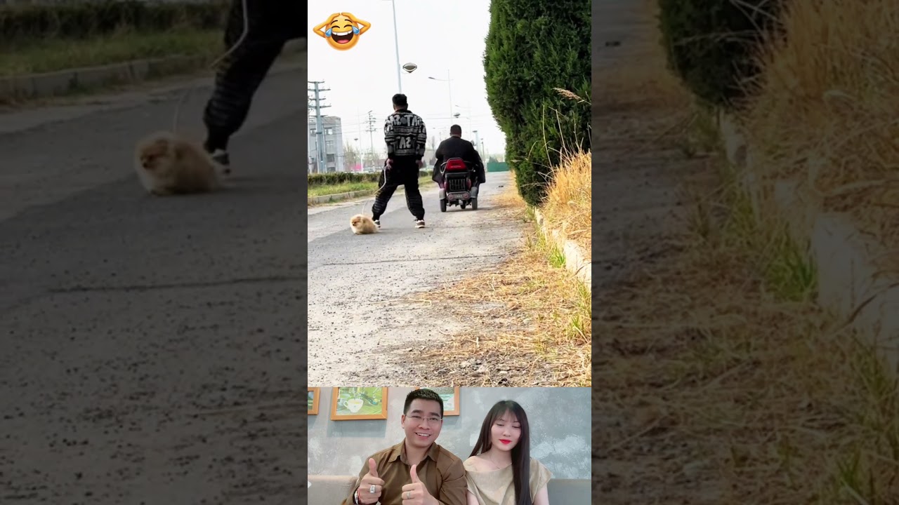 I Thought The Dog Was Lost 🤣 #viral #funny #fun #troll #shorts #korean #dance
