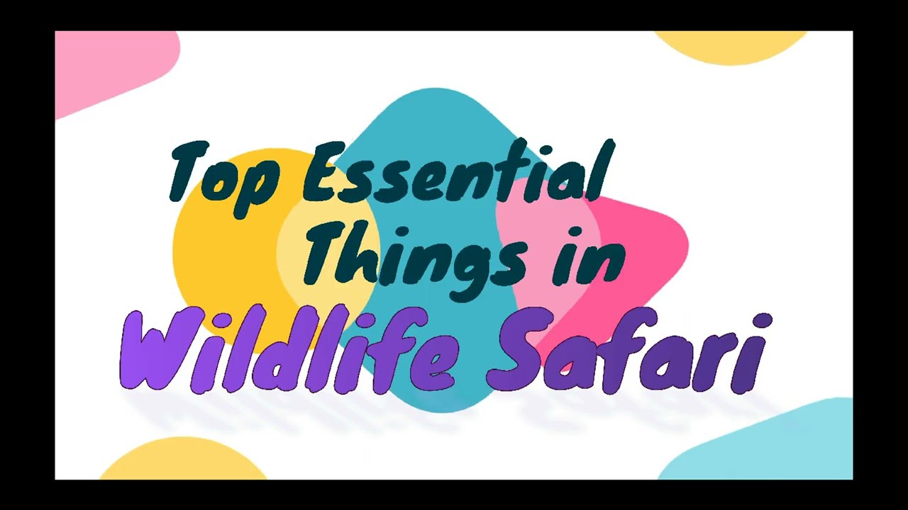 PART 1 -Top Essential accessories for wildlife safari photography.Wildlife Photography Accessories.