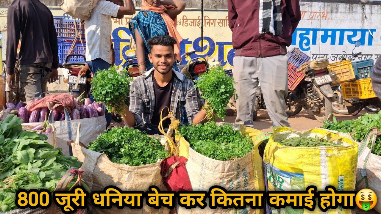 800 Juri Desi Dhaniya Sell Karke Aaj Kitna Earning Hoga?