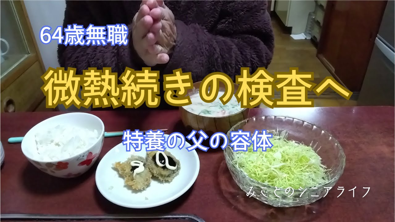 【60代姉弟二人暮らし】64歳無職／微熱続きの検査へ／特養の父の容体