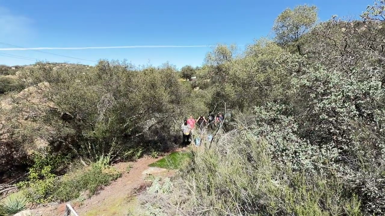 Good Vibes Ranch