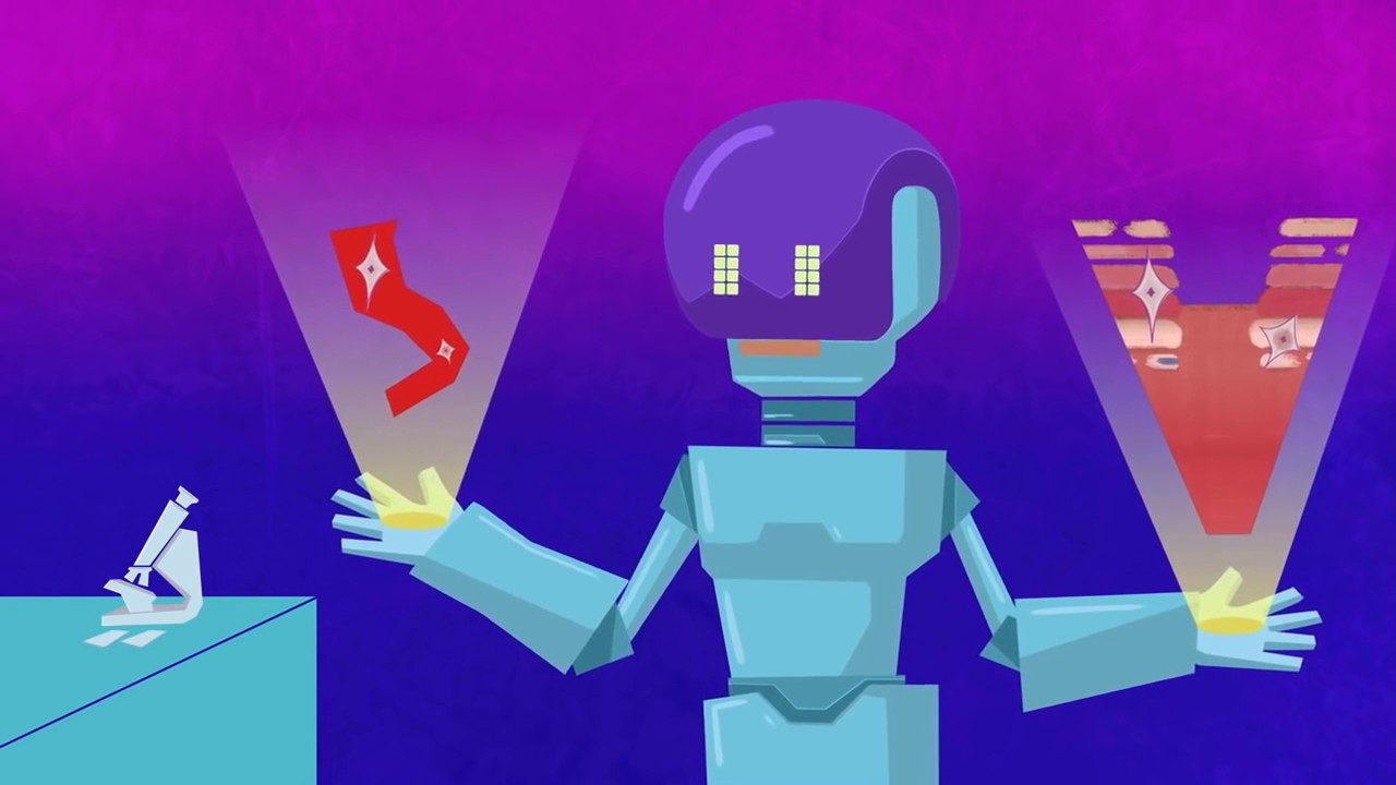 Как заживает рана؟ TED ED