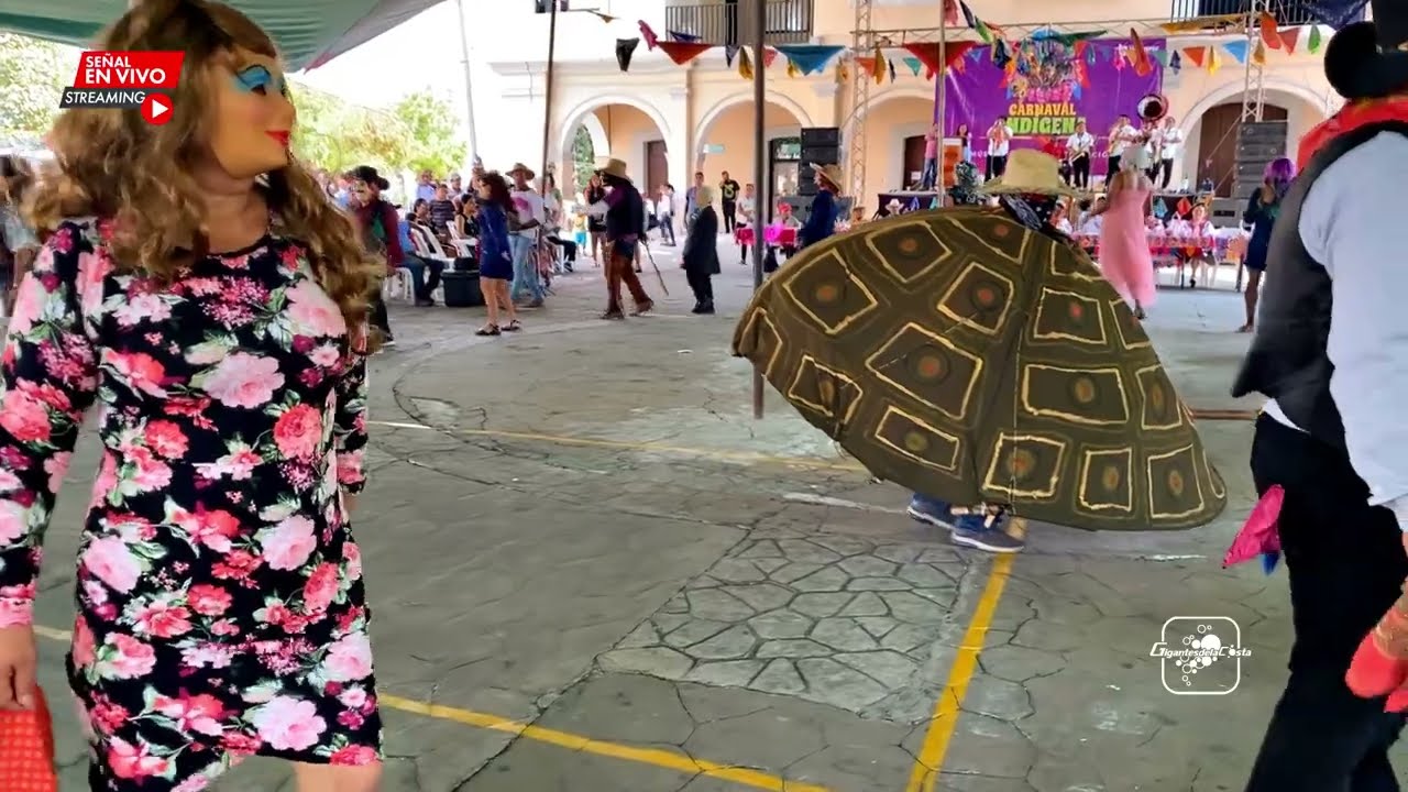 Danza de la Tortuga - Carnaval Indígena 2025 en Santiago Jamiltepec, Oaxaca ( Gigantes de la Costa )