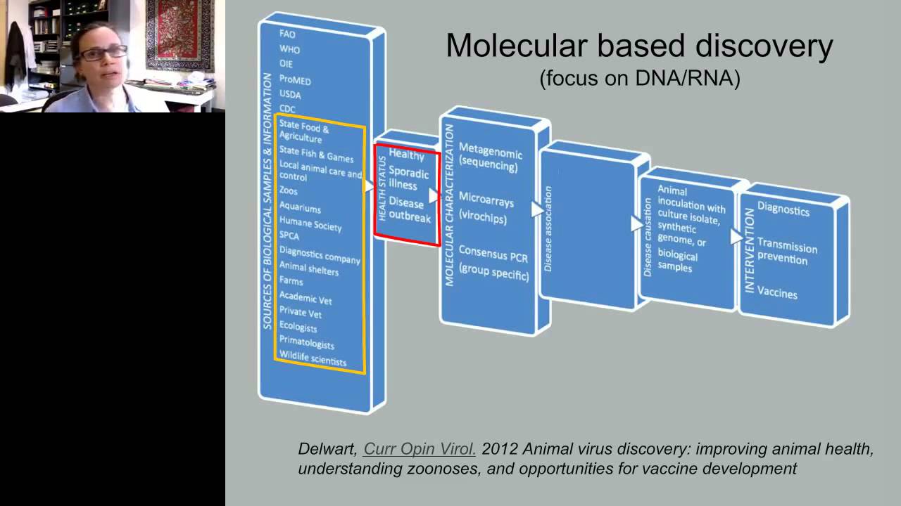 Linking Viral Discovery with Causality