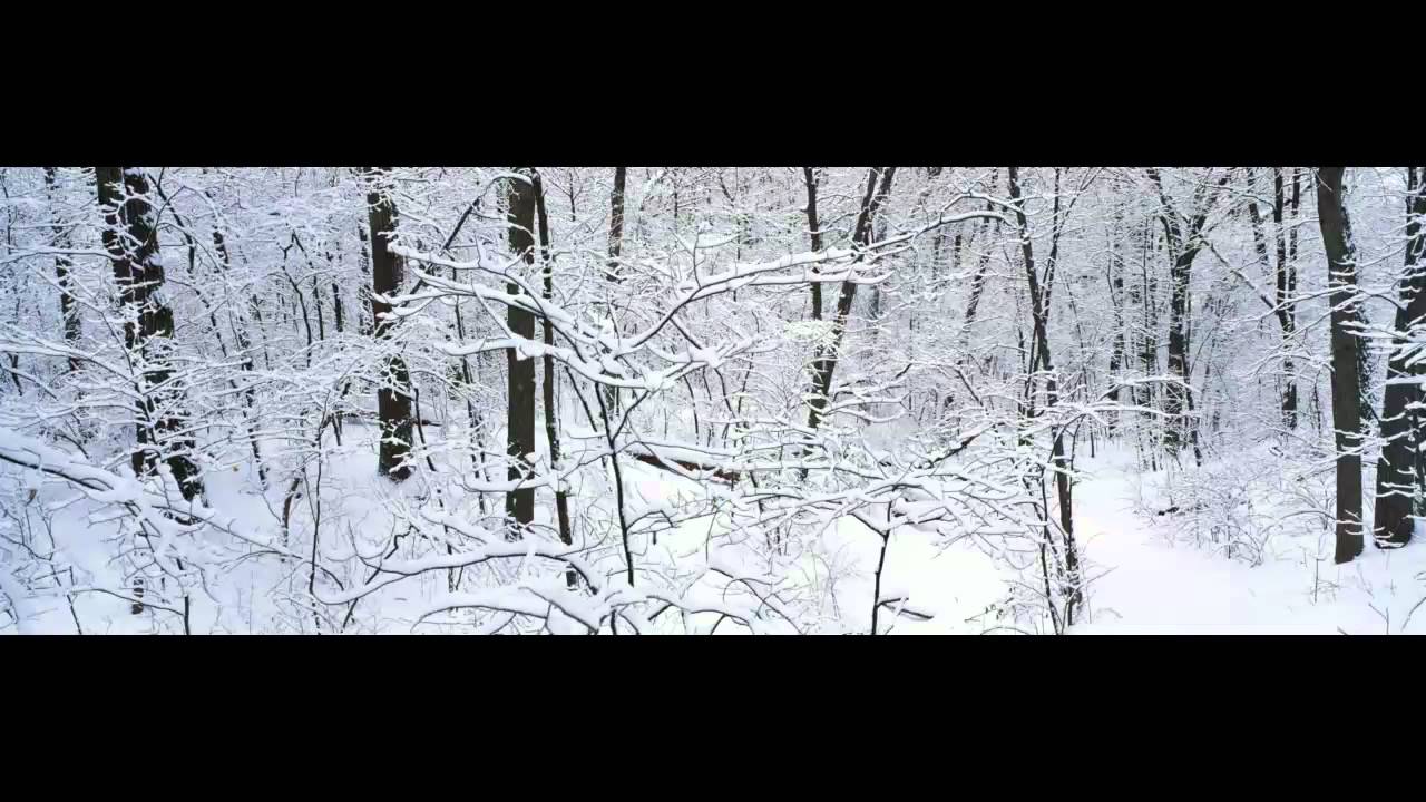 Любовь не ищет своего - Дмитрий Шлетгауэр.mp4