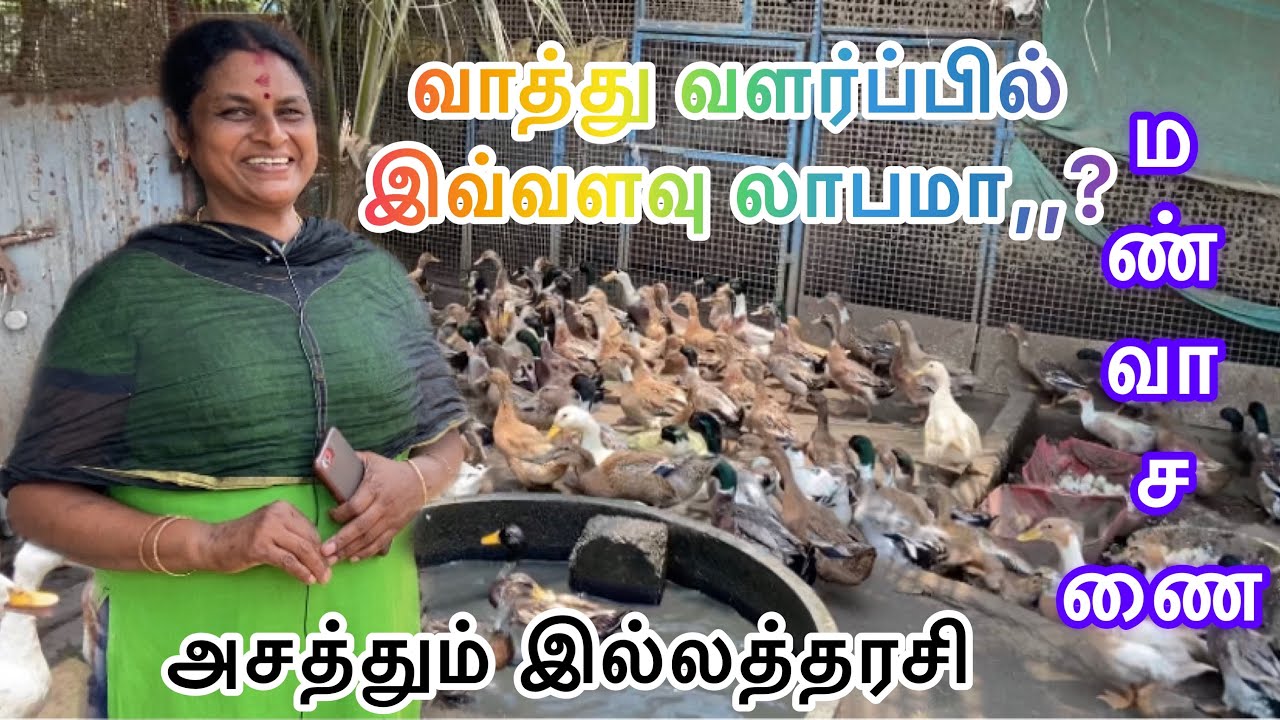 Vaathu valarpu Tamil | வாத்து வளர்ப்பில் இவ்வளவு லாபமா? |குறைந்த முதலீடு | அதிக லாபம் | மண்வாசணை