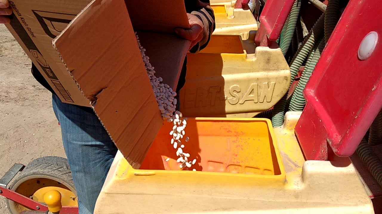 Ceviz Bahçesinde Ara Tarım Çalışması