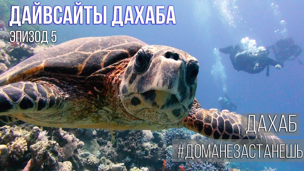 Самые красивые дайвсайты Дахаба