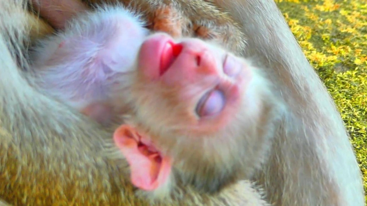 Newly Baby Really Got Sleep Well After Taste Full Milk