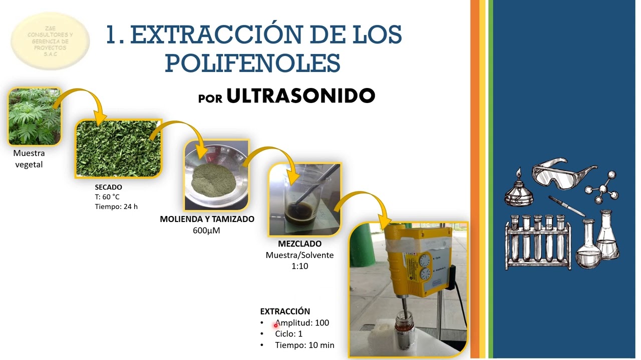 DETERMINACIÓN DE POLIFENOLES TOTALES EN ALIMENTOS POR FOLIN-CIOCALTEU - CURVA DE CALIBRACIÓN