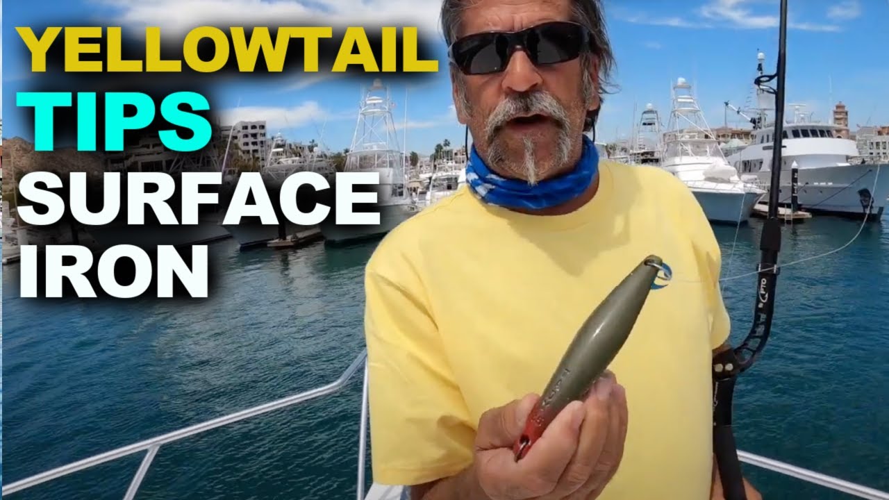 Как поймать желтохвоста | Surface Iron SoCal Style