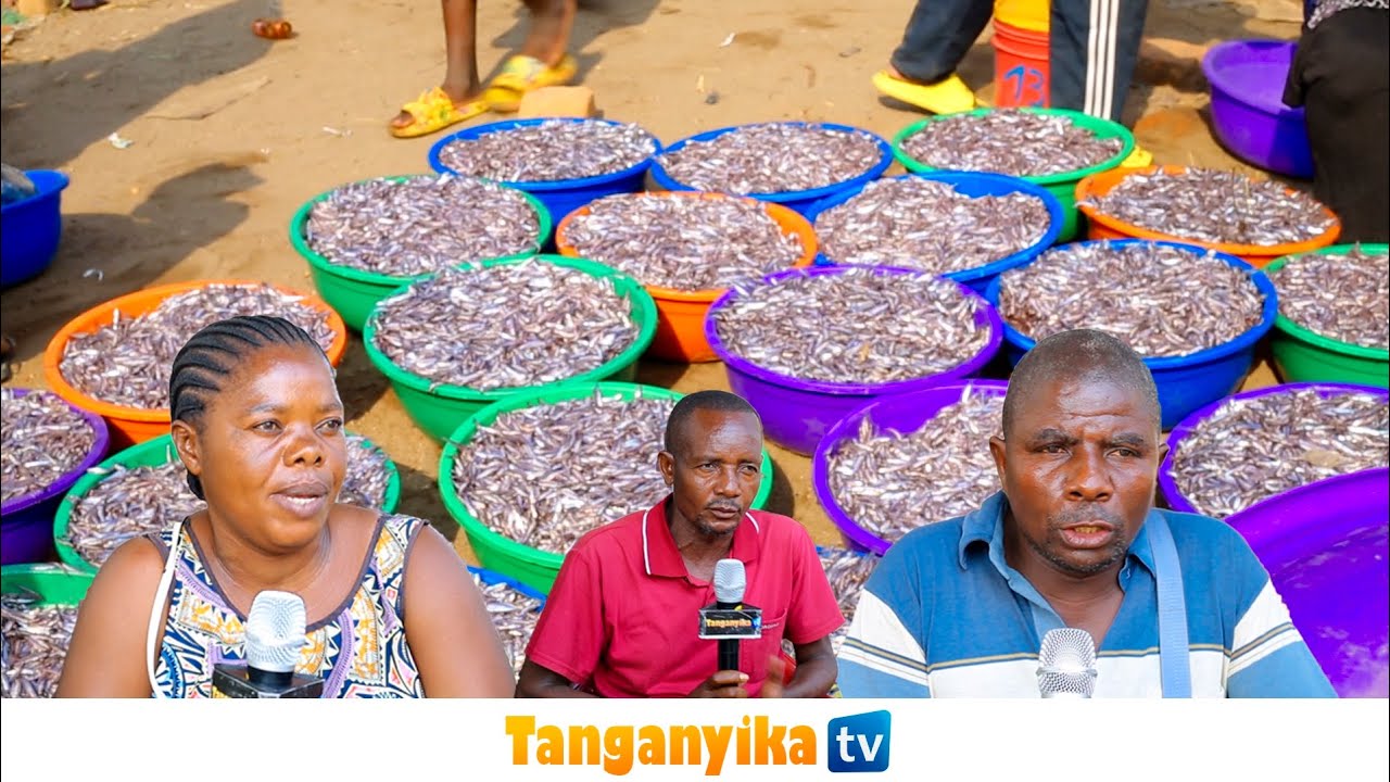 TAZAMA MAPATO YA DAGAA KWENYE  ZIWA TANGANYIKA JIJINI BARAKA