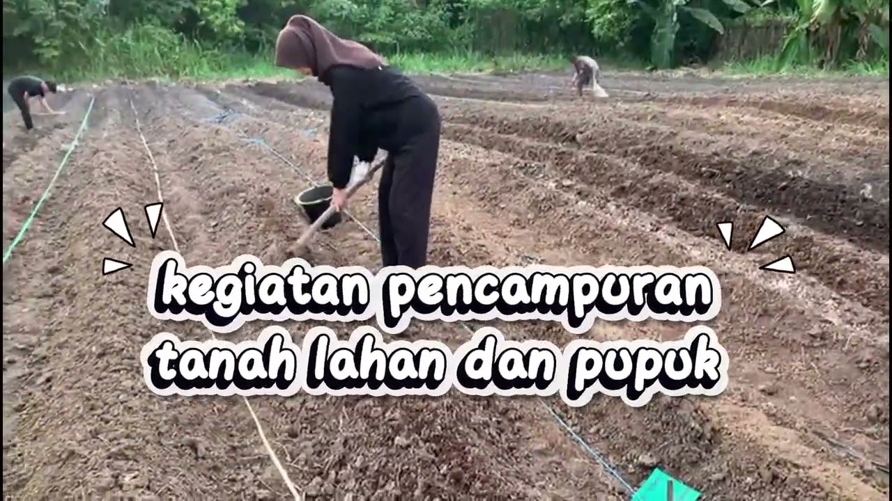 Judul vid (Eky Delima Ernanda_Minggu ke 2_Pare Belut )