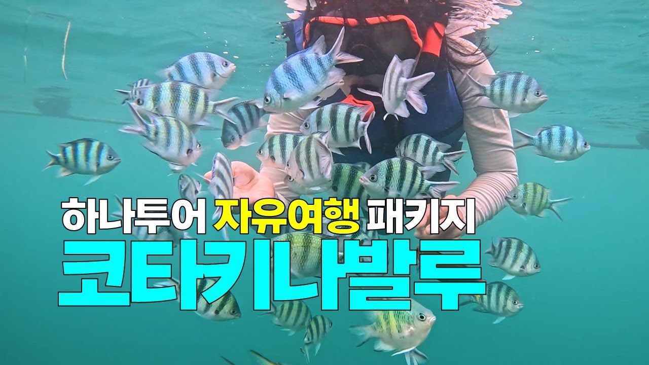 🇲🇾 아이들과 함께하는 해양 액티비티의 천국! 코타키나발루 자유여행 전체 일정을 함께해요