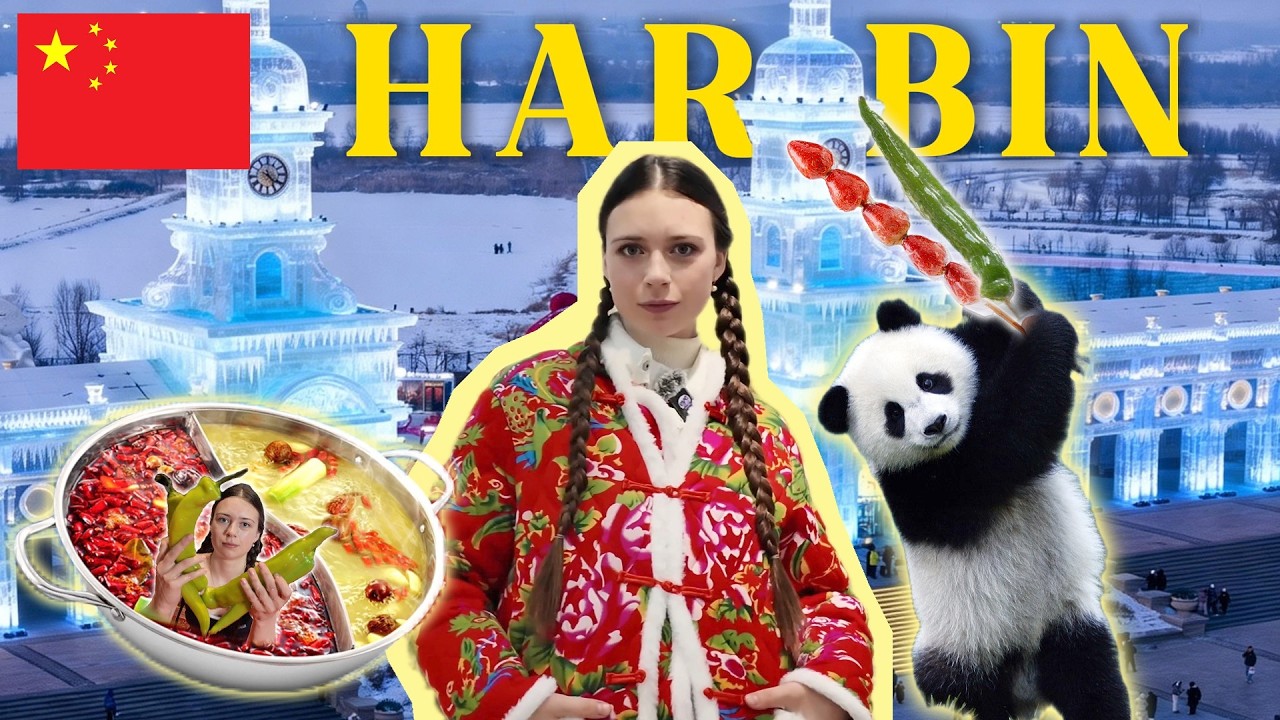 【4K】How to Survive Winter in China's Coldest City?  An Unexpected Journey to Harbin!