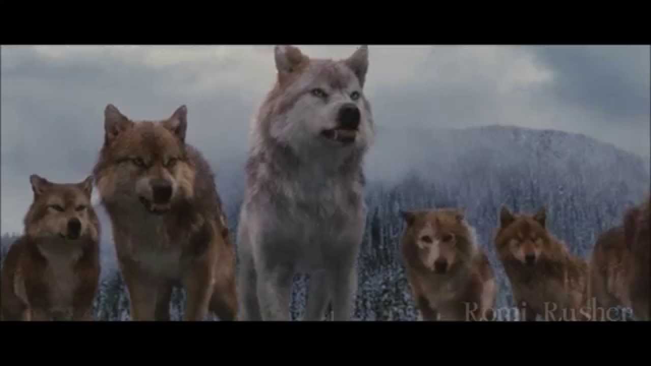 Leah ● werewolf