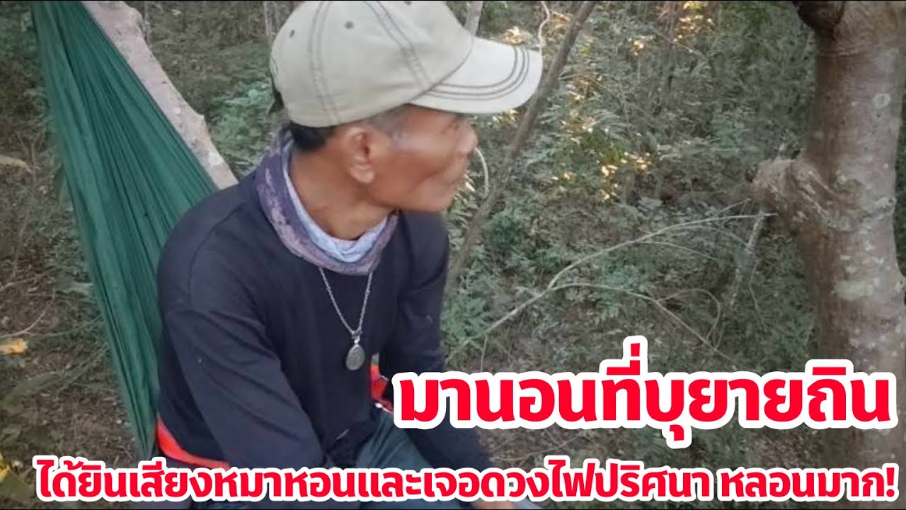 วันนี้มานอนบุยายถิน สุดหลอน ได้ยินเสียงหมาหอนและเจอดวงไฟปริศนา 126/12/2568| เด่นเดินดง