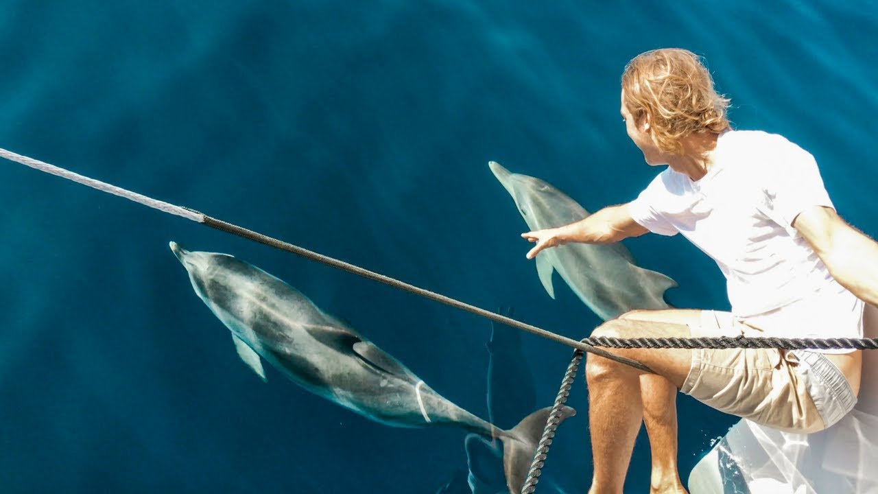 5 Long Days at Sea With Friendly Tuna, Dolphin Mayhem and 3 Amigos; Ep. 133