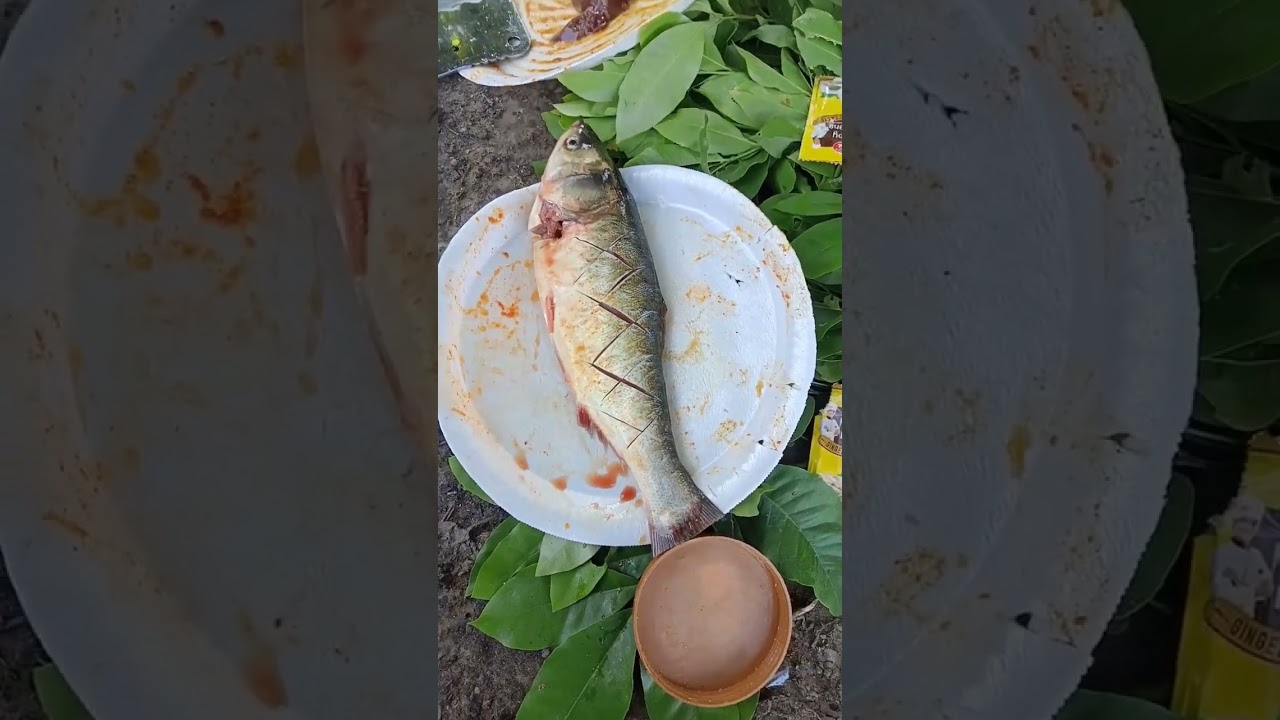 Tandoori Fish 🐟|| Seekh Fish Fry || #shorts #fish #fishing #tandoori #tandoorifish #sundarbanfishing