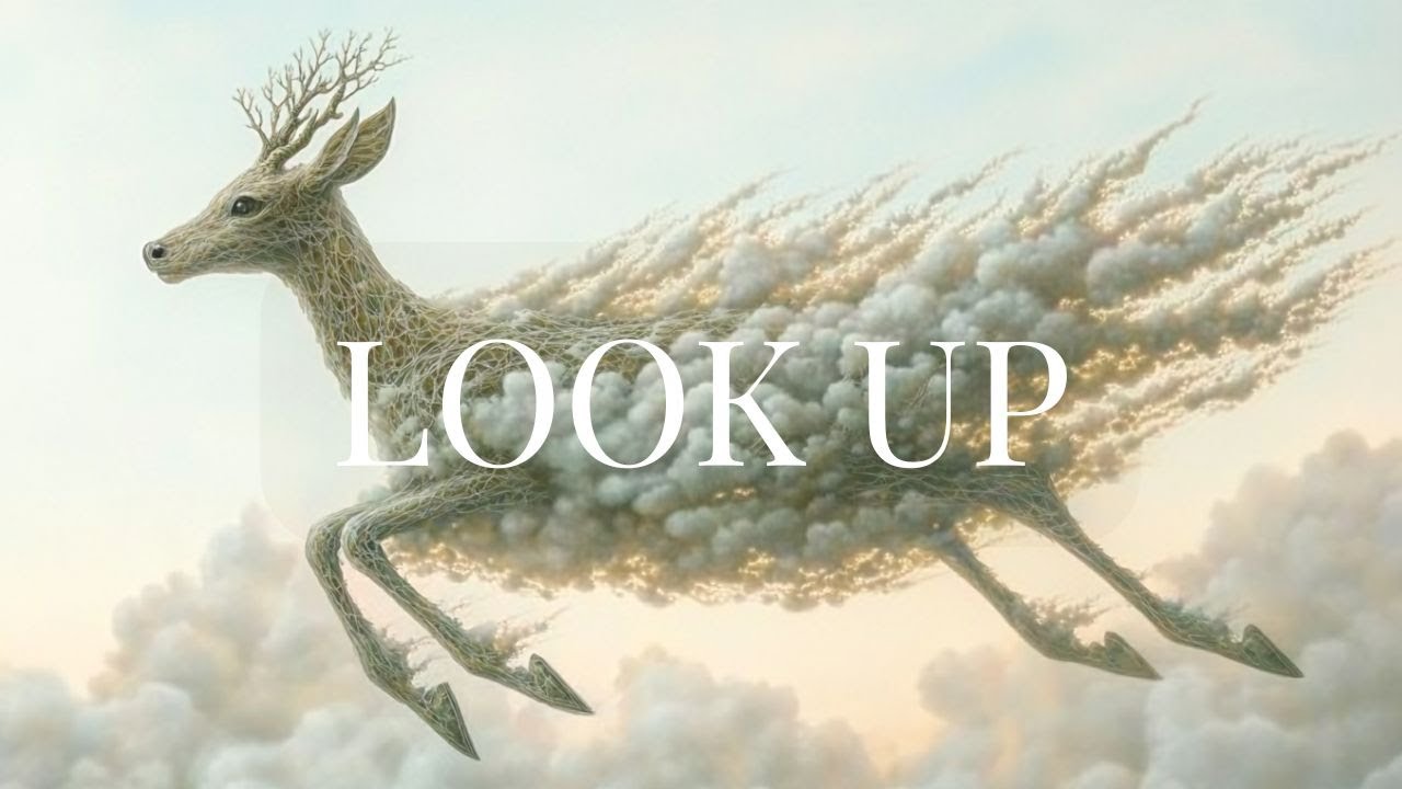 Look Up - An Visual Poem