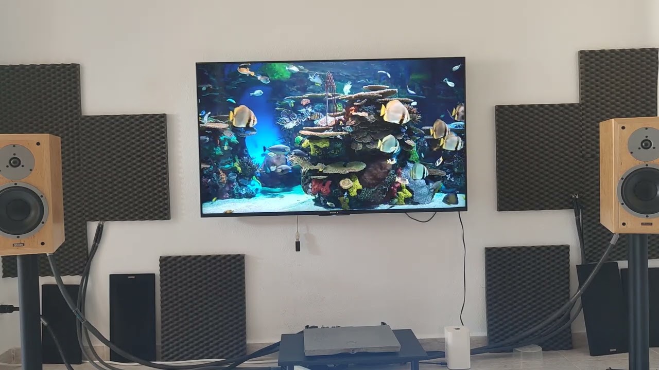 Devialet expert 200+ Dynaudio 25 special twenty five, furutech oyaide, acoustic zen.