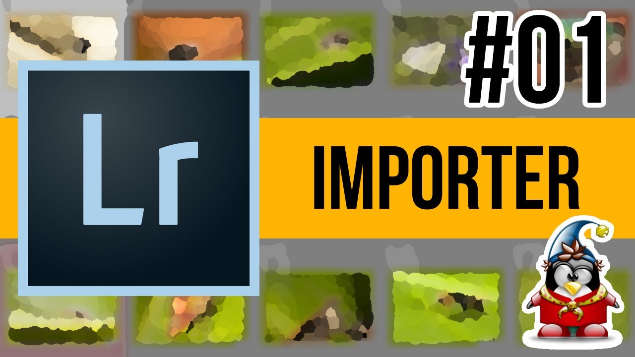 Lightroom Bibliothèque 01 - Importer des photos